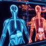 Function Health Financing Adds $450M to Scale Whole-Body Testing