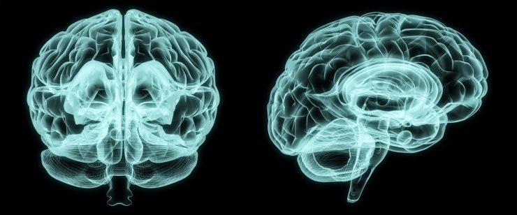Breathe Press Release Submission - Hemispheric NeuroAI Model Wants To Make Brain Health Measurable