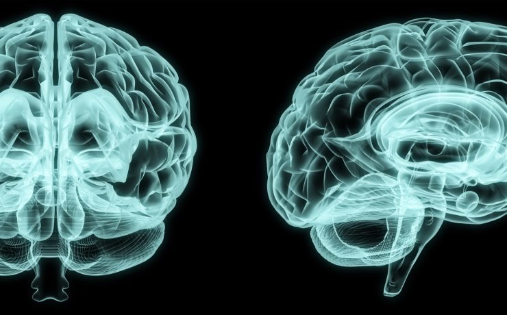 Breathe Press Release Submission - Hemispheric NeuroAI Model Wants To Make Brain Health Measurable
